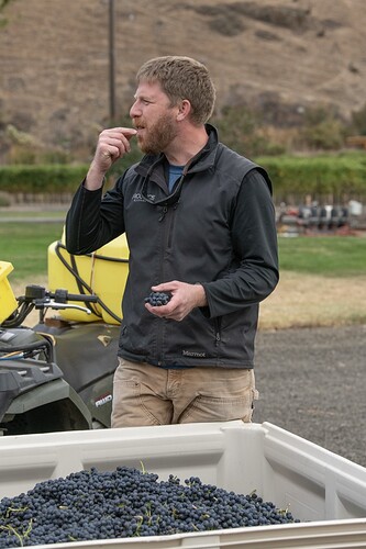 Winemaking gets you your recommended fresh fruit intake during harvest!