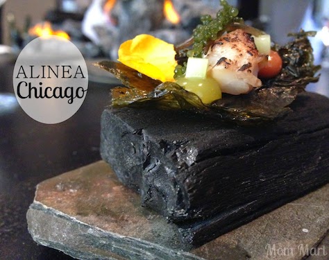 ALINEA of Chicago to resize.JPG