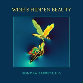 Wines Hidden Beauty book cover.jpg