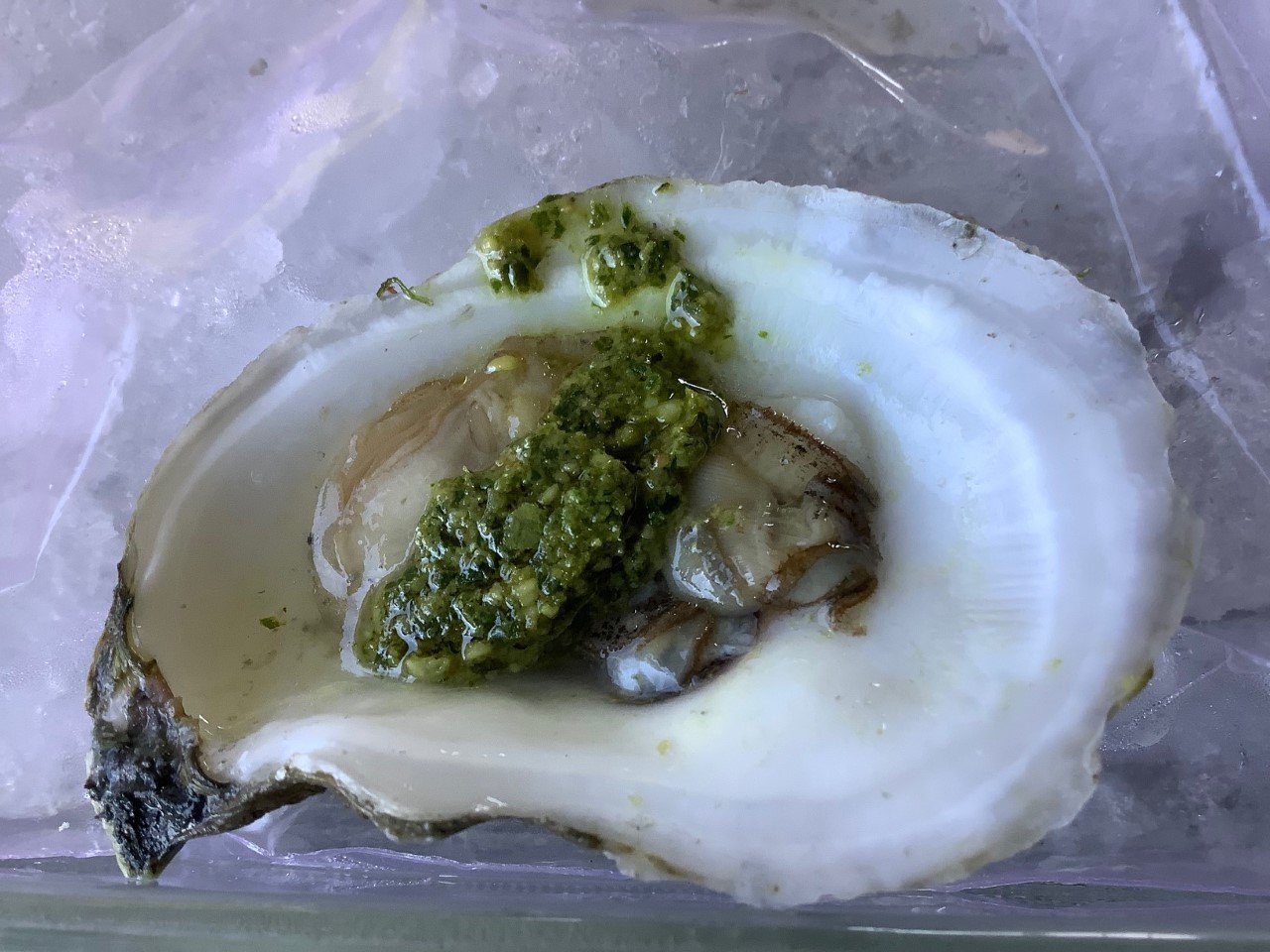 pesto oyster.jpg