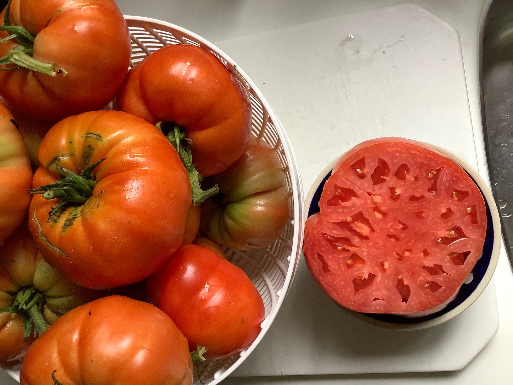 tomato .jpg